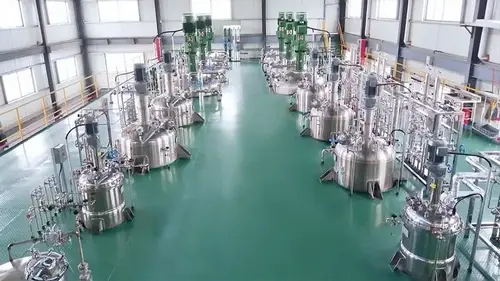 Bacillus Cultivation