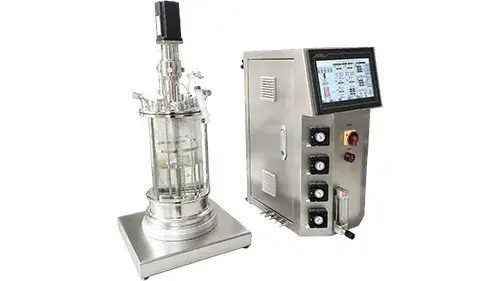 Glass Bioreactor
