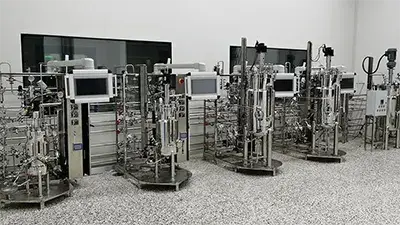 Stainless Steel Bioreactor
