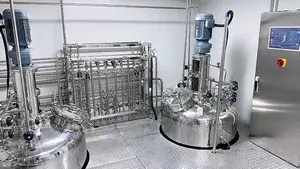 GMP Sanitary Bioreactor