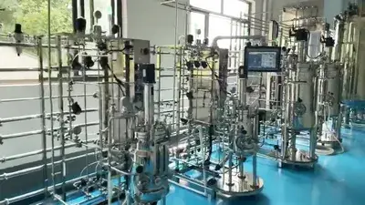 Pilot-Scale Bioreactor