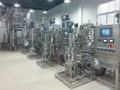 FZ-DS-10L-100L-1000L (3-Stage Automatic Fermenter)