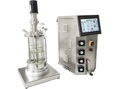 Glass Bioreactor