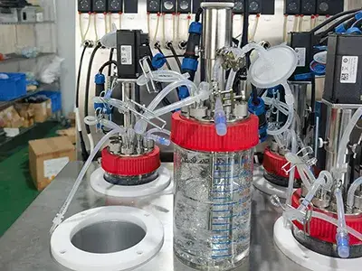 FZ-B-Multi-Parallel Model Glass Fermenter